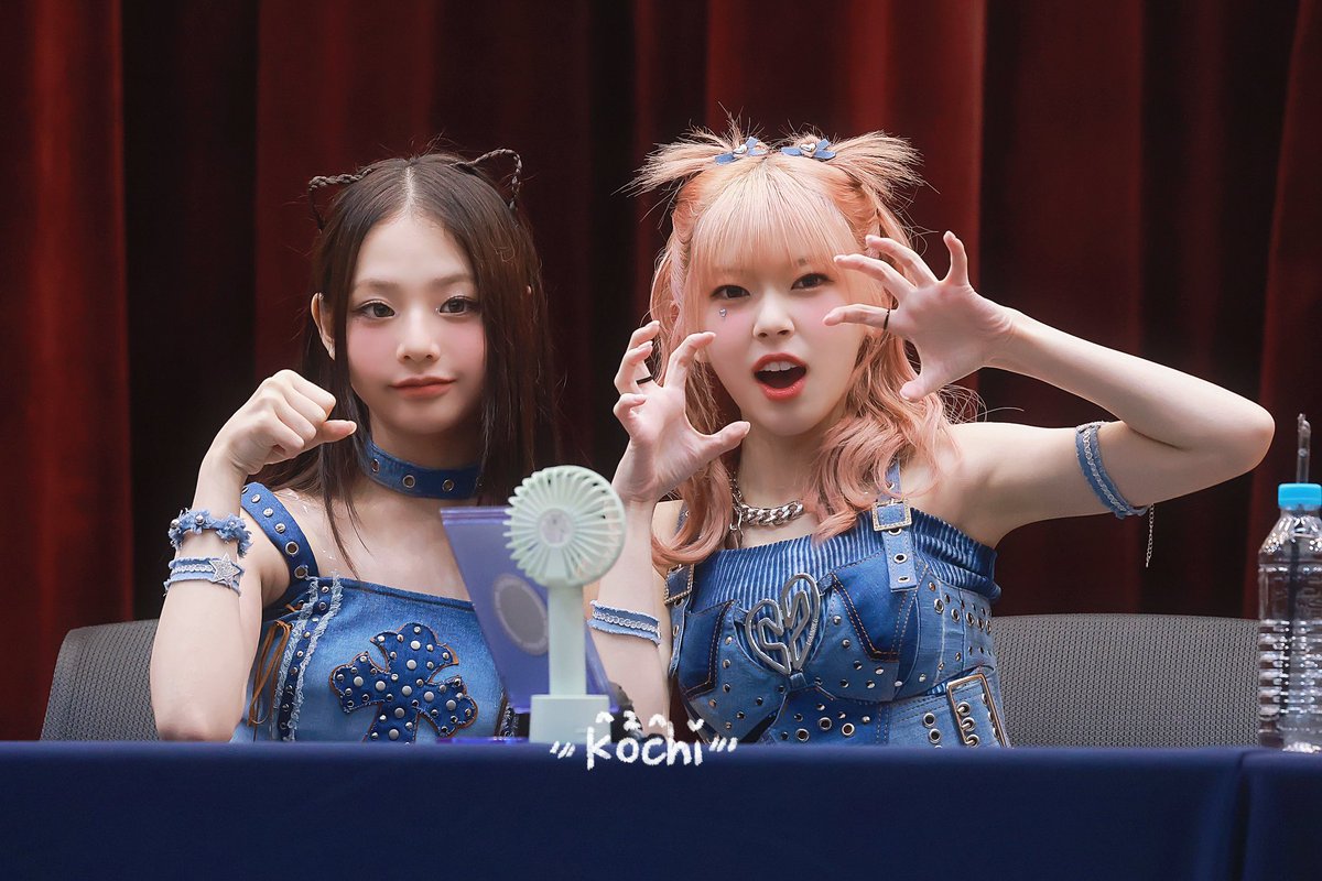 ko2kochi's tweet photo. 두 마리 고양이가 성격이 너무 달라ㅋㅋㅋ

#UNIS #유니스 
#SEOWON #임서원
#KOTOKO #코토코 https://t.co/GOXLU0GjfF