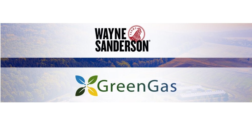 GreenGasUSA and Wayne-Sanderson Farms partner to optimize biogas production and decrease methane emissions at processing facilities across the U.S.
usgasvehicles.com/greengasusa-an…