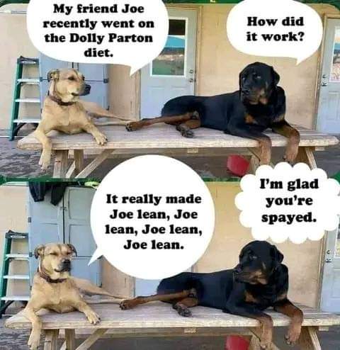 BEST PAW FORWARD (@bestpawforwardk) on Twitter photo 