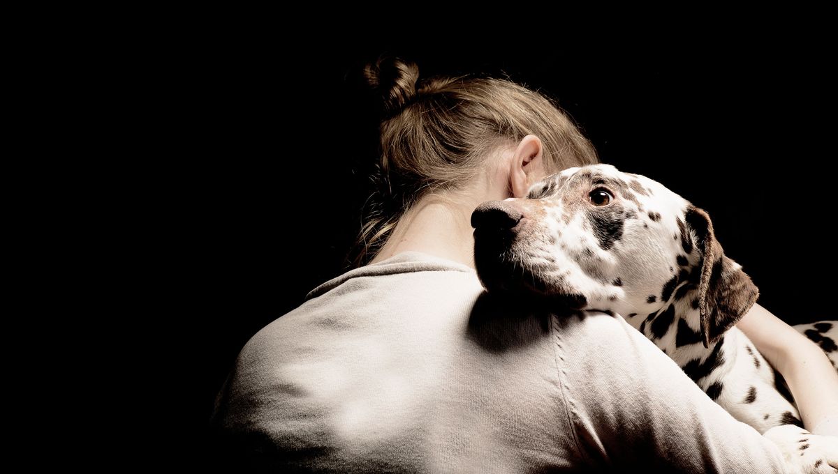 Vetitude's tweet photo. #SSPT : les chiens seraient capables de sentir venir les crises de stress post traumatique
https://t.co/zvJY7BaAX7 https://t.co/KZGA8mbk9u