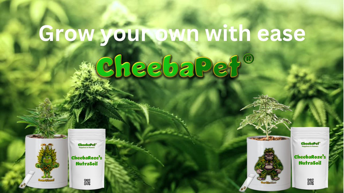 CheebaPet's tweet image. Take the frustration out of your grow with CheebaPet&apos;s all in one planter kits! #CheebaPet #HappinessToHumans