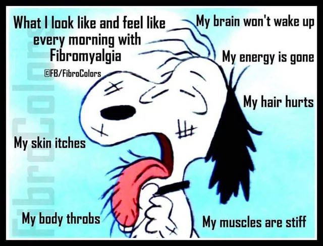 ckrowlett's tweet photo. @beansbeth @EPennysworth @Wisewonders @PattieWalker4 @BethJoh04 @LempaAnne @FormerlyknownNL @ggrim002 @ClimateElf @ItIsTheRealJas @gas_patient @LakerPatrick Thank you Liz! I am having a rough time with pain today and this really lifted my spirits! We have 71 days to put the peddle to the metal! No letting up now!
Guys this list is full of new and old blue dots ๐ต!
I followed allโ๏ธ๐โป๏ธ
#WhenWeFightWeWin
#BlueBetterTogether https://t.co/CeF39ZuhjF