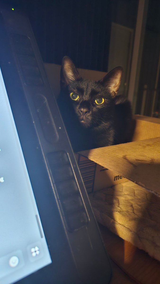 We are LIVE with The Quarry Part 2! No dead counselors yet! Coral giving me that stink eye to not let anyone die. twitch.tv/weflaps