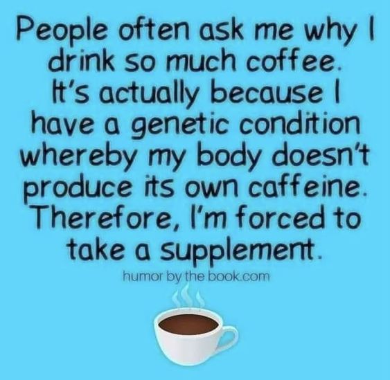 Annette 🟧🇺🇸 🏳️‍🌈 tweet media