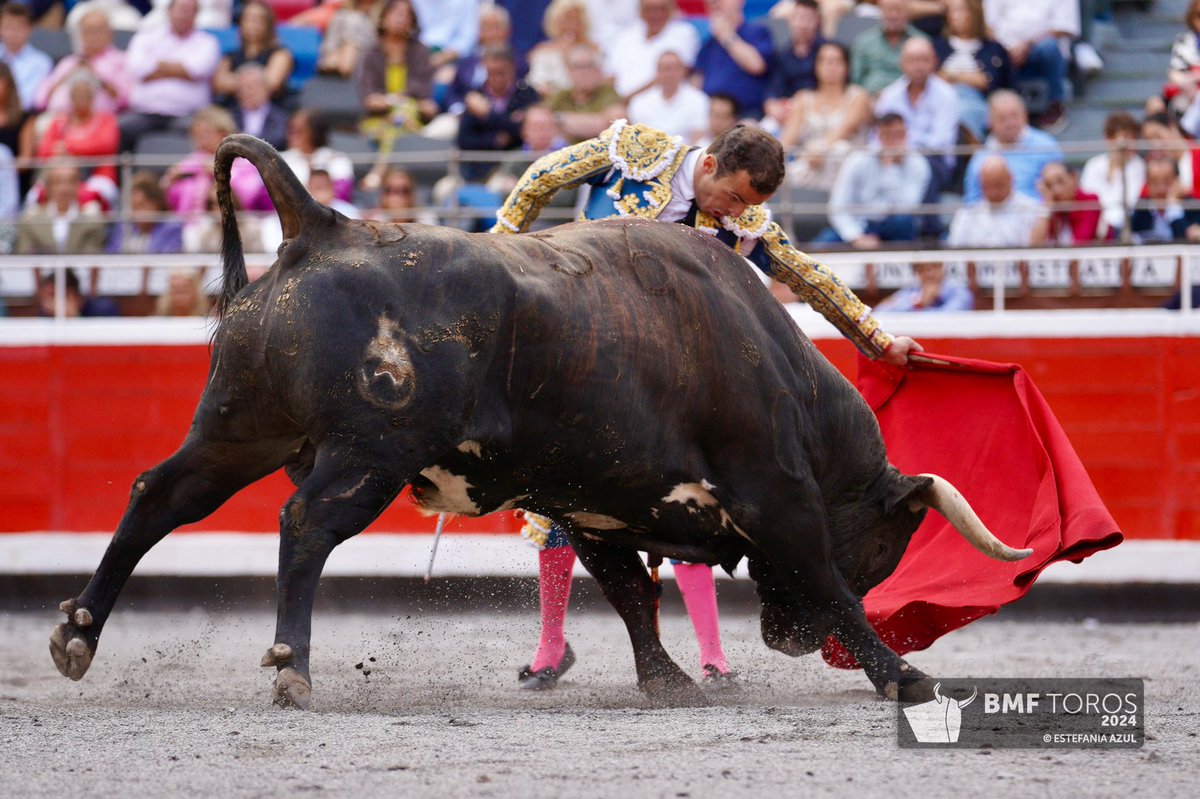 torosenbilbao's tweet photo. 5️⃣ OREJA para Damián Castaño tras estoquear al sobrero

#TorosEnBilbao https://t.co/KEAMPU8wnK