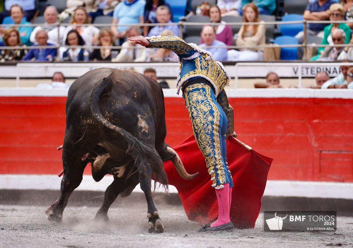 torosenbilbao's tweet photo. 5️⃣ OREJA para Damián Castaño tras estoquear al sobrero

#TorosEnBilbao https://t.co/KEAMPU8wnK