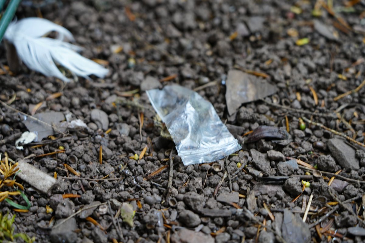 AlgirdasStasiu2's tweet image. Rougemont Gardens #ExeterDevon #England YES I.❤️ Drugs especially when you travel parallel world where you don't get up from this world.