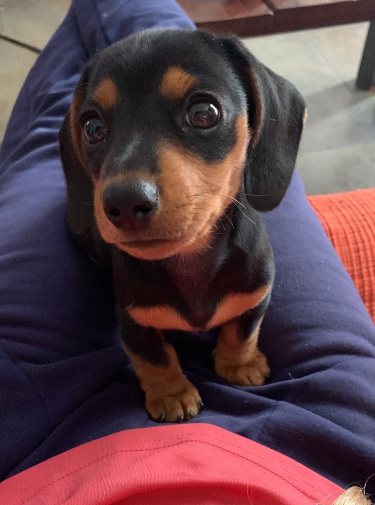 uruguaya de River🙃 tweet media