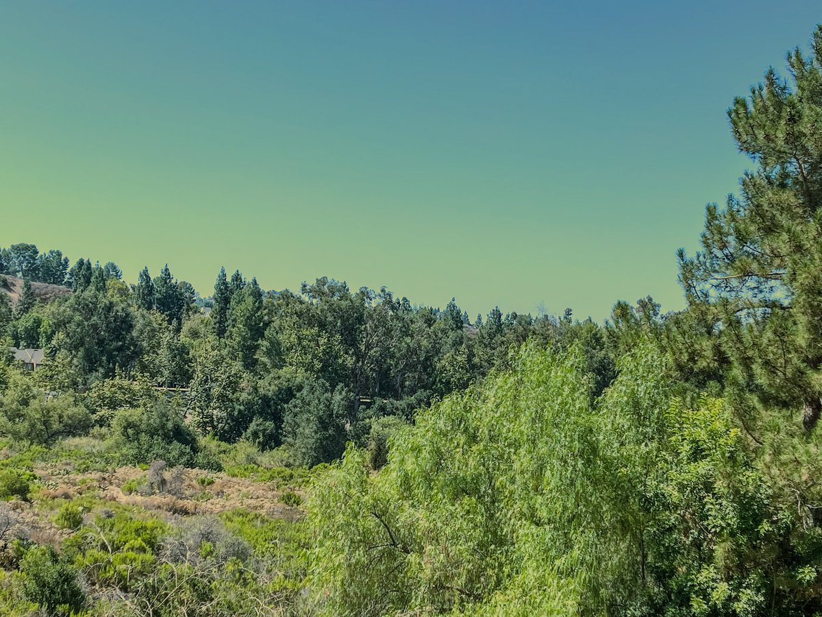 I believe that the place where I receive grace through worship is where I am given the living water of life. We must remain in grace, and that living stream must flow within us for us to truly live.