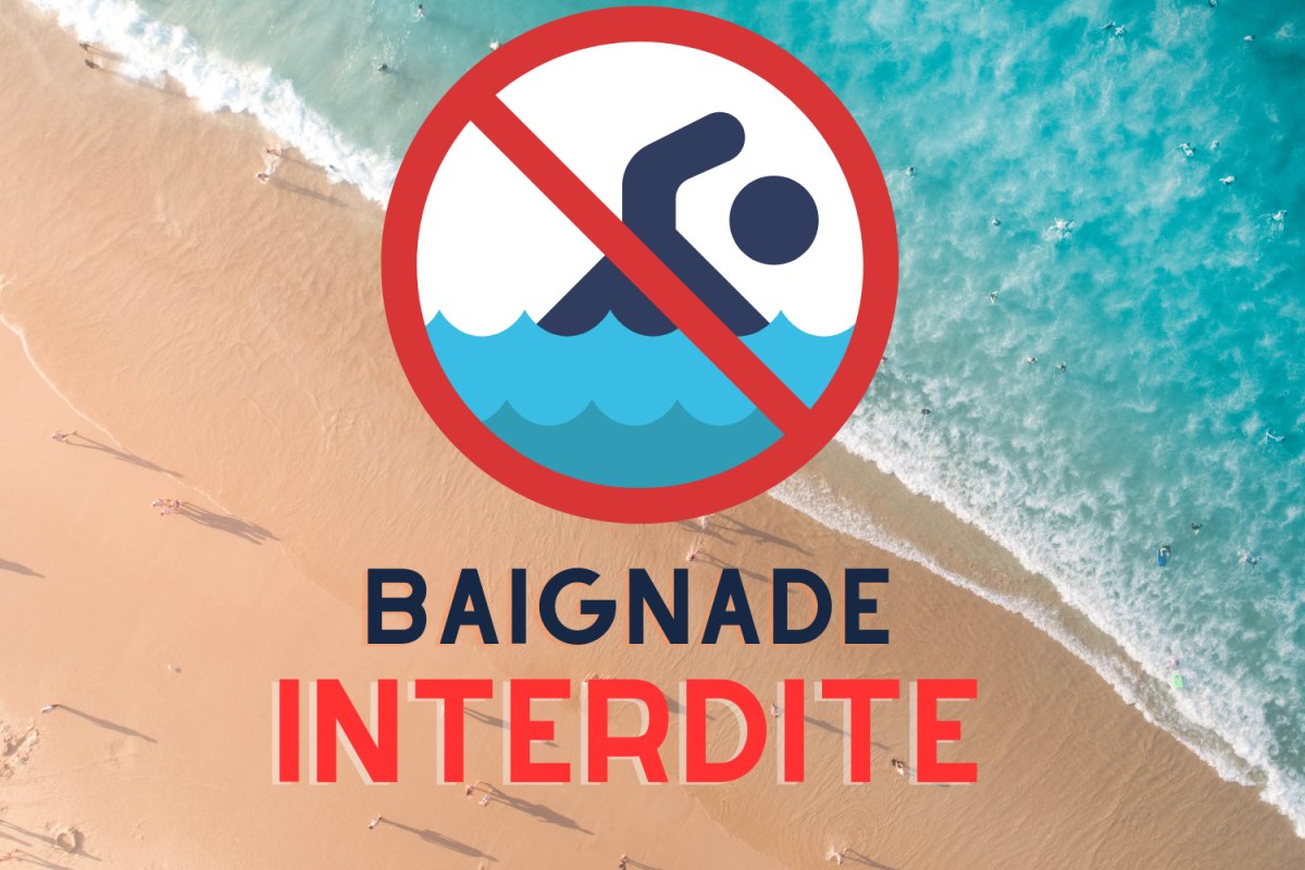 En raison de la pollution microbiologique actuelle, la baignade est strictement interdite sur la plage de Kerbihan et de kervillen jusqu'à nouvel ordre.  

Consultez l'Arrêté municipal 2024-214 / 2024-215 sur notre site internet   

Liens : 

 *… dlvr.it/TCMNdG