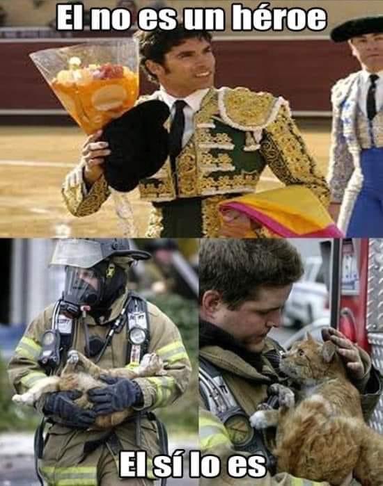 mayumiguillen's tweet photo. https://t.co/jL8LcMMRGw