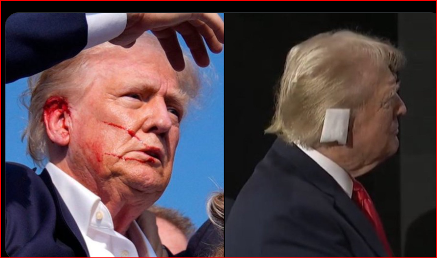 Agolf Twitler Slayer tweet media