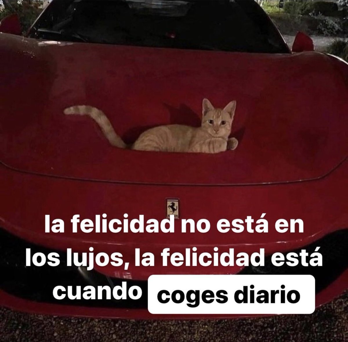 triste y con ganas de morirme ☹︎ tweet media