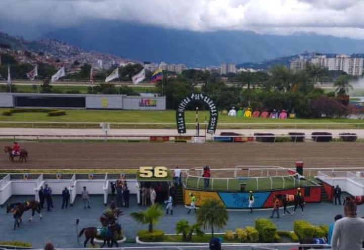 PabloJota27's tweet photo. ((( BENEDETTA ))) Por La Via De Galope Y Como Se La Ganaban Si Agencio 68.4 Para El Recorrido Sin Ser Exigida, Ni Queriendo Pues; #JUGADAVIP Y #UNICAMARCA Para Seguir INVICTOS En El Pronóstico De 3-3 https://t.co/6E459H6yVo
