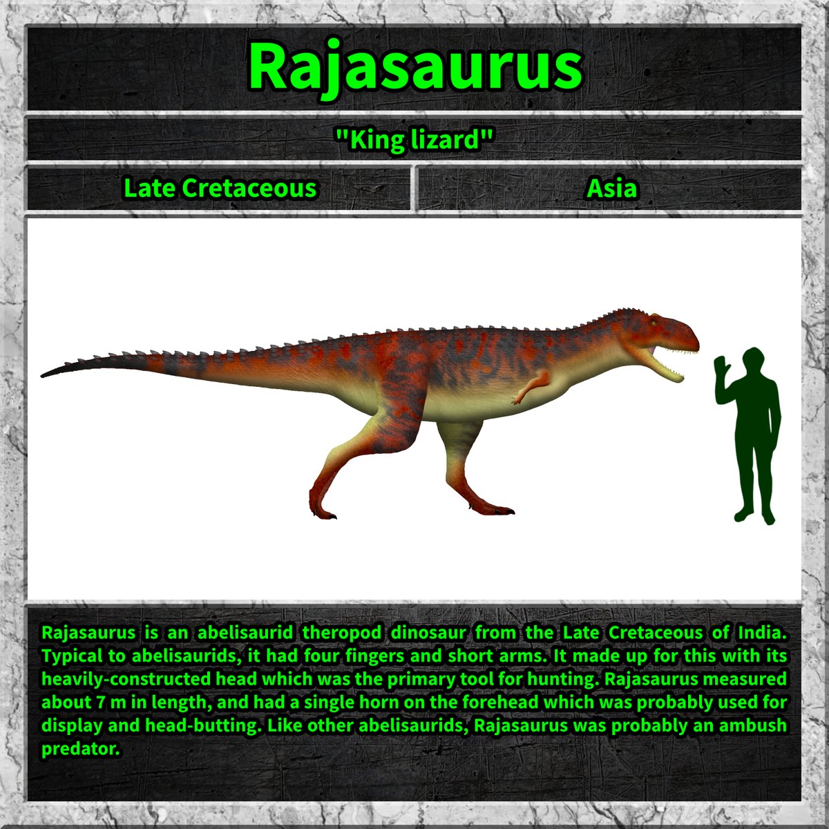 Total_Dino's tweet photo. #rajasaurus #dino #dinosaur #dinosaurs #cretaceous https://t.co/fJOq5Cbl42
