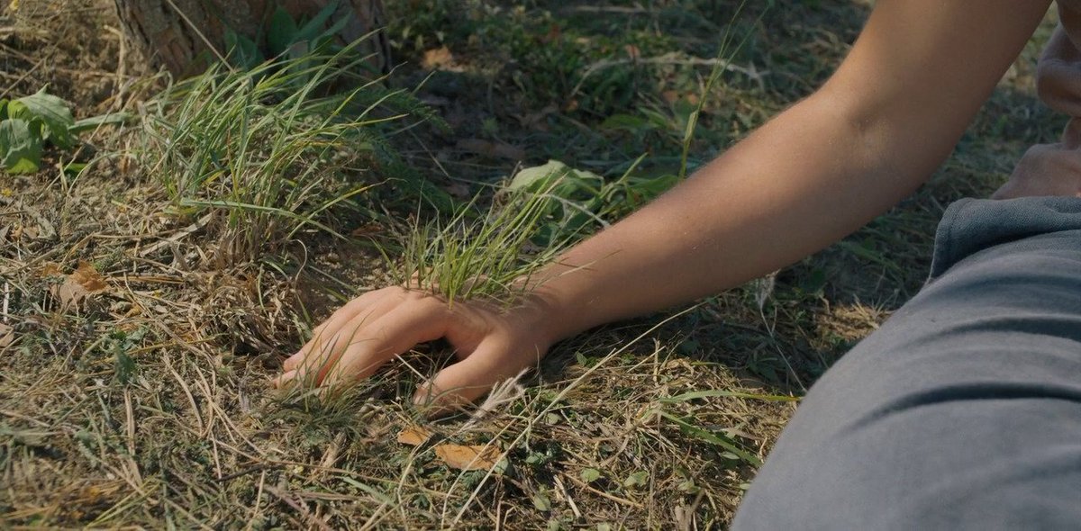 TheCinesthetic's tweet photo. Midsommar (2019) dir. Ari Aster https://t.co/co0M6LyVgm
