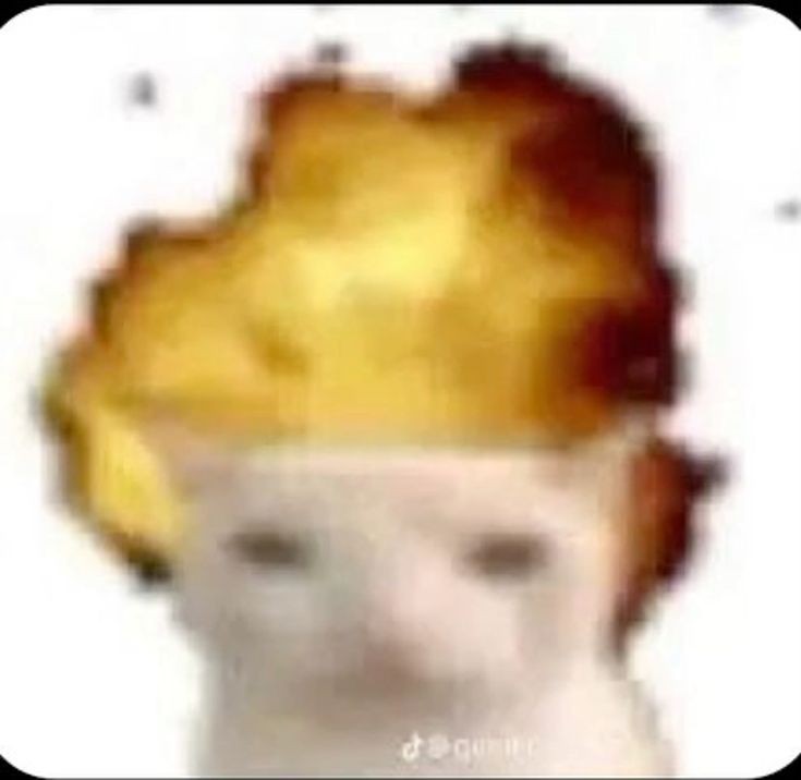 Shivjee59498034's tweet photo. @NatWork_ @Kahlissee well at least im not stuck in queen elizabeths house like you talk as if you were a king https://t.co/eRpeHjpFUS