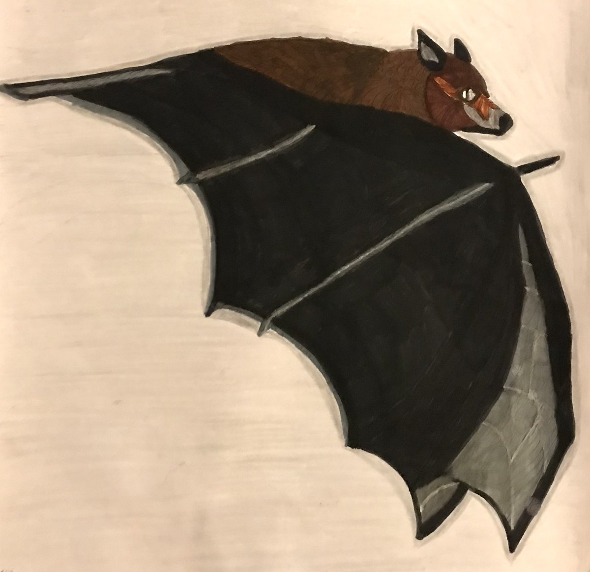 A submission under the Wings theme from Lorraine Hempstead who is part of the Braintree Rethink Art Group.  Acrylic on paper its called Flight of the Night.  #artistherapy #art4health #rethinkmentalillness. Closing date 31st August so please send in your work asap.  See website