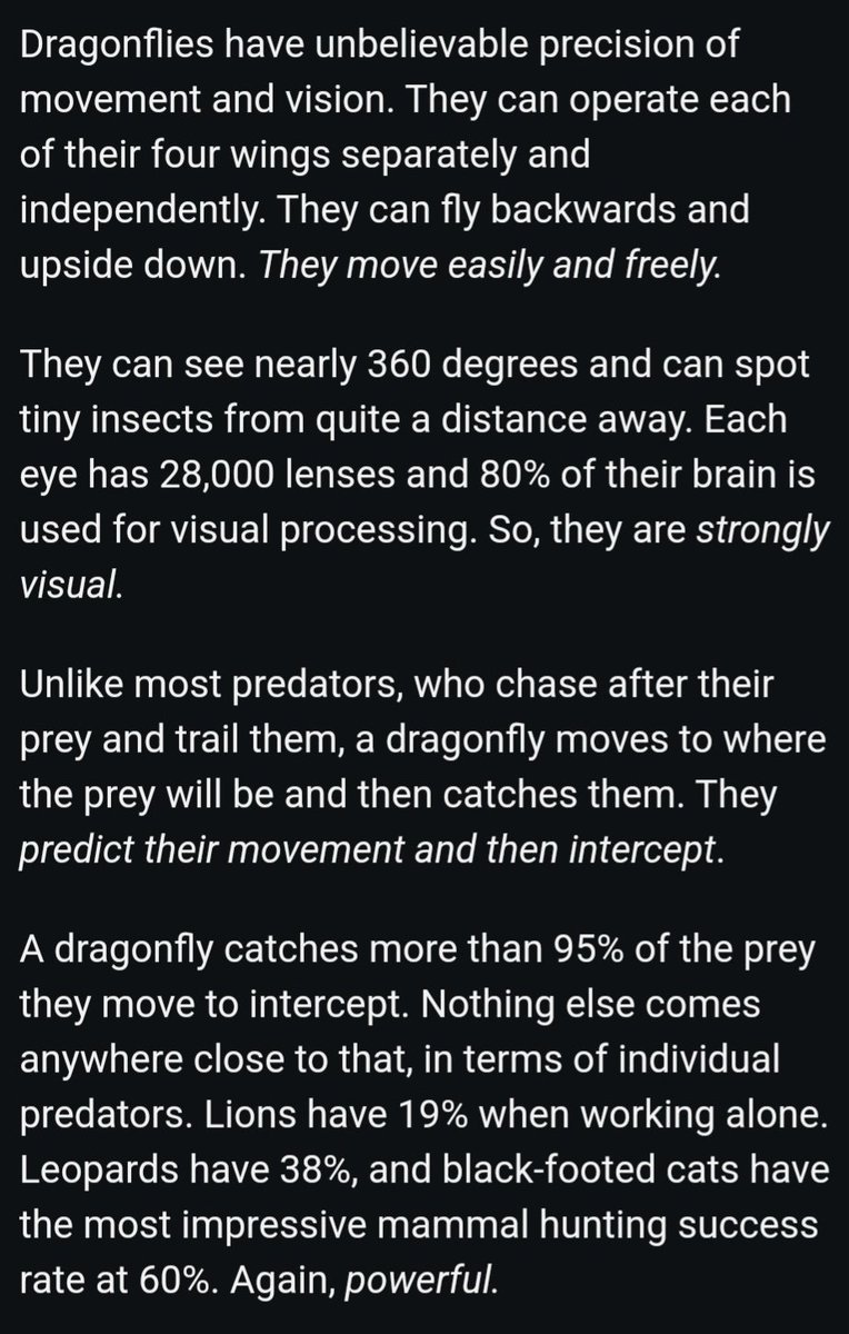 whiskeydoll 🥃🎀 tweet media