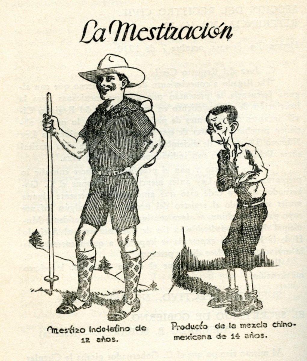 Propagandopolis tweet media