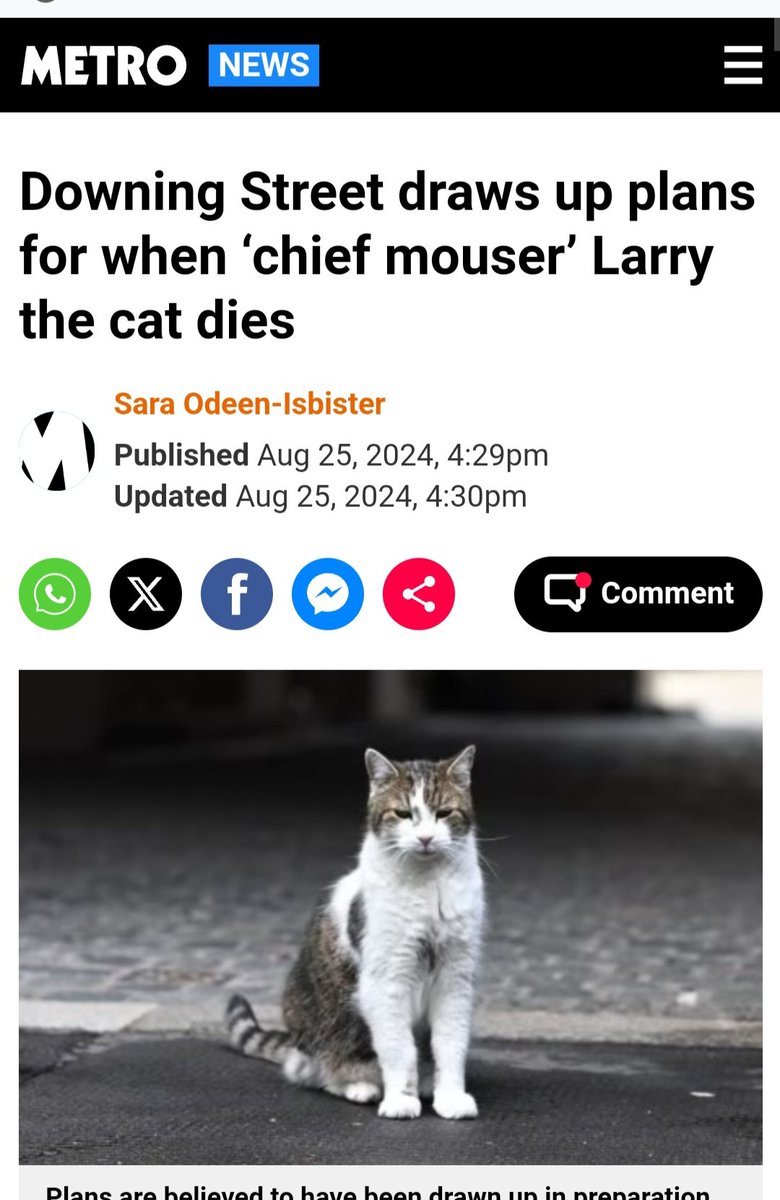 Sweettalkin53's tweet photo. 🚨🚨Breaking:
Larry's Lickings
#CroakIt
#NotWokeIt https://t.co/iV0kfU5EZk