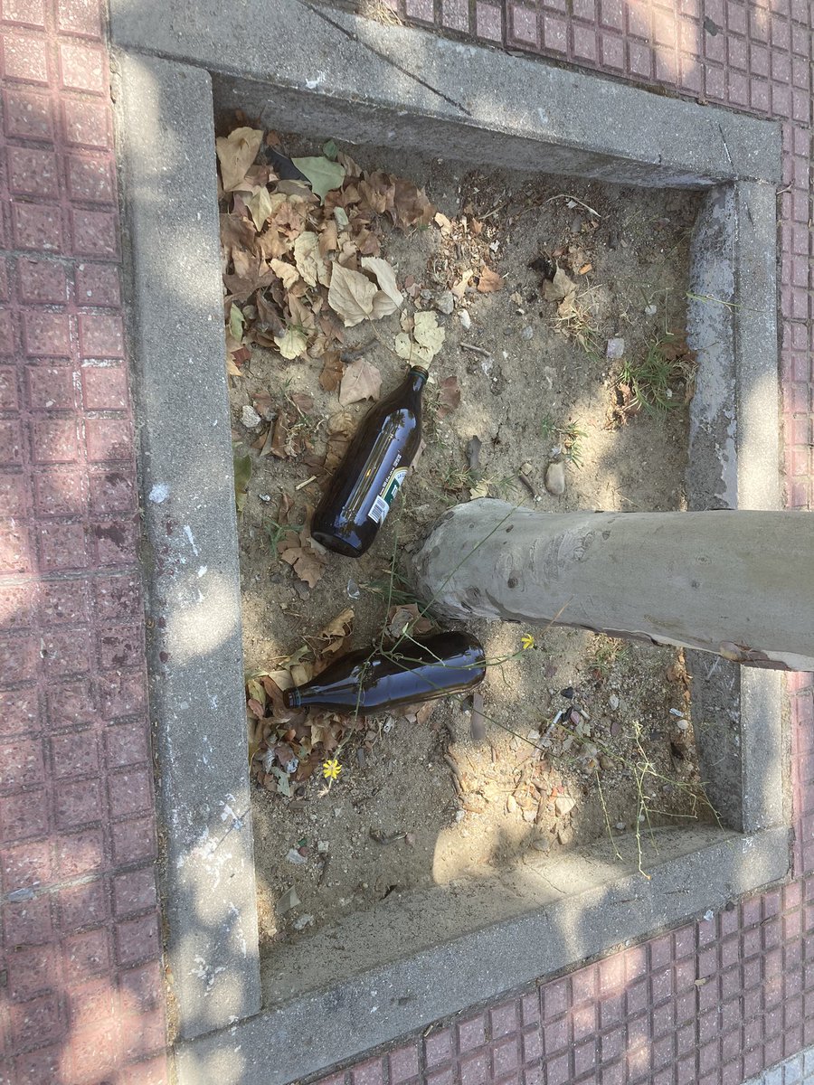 Ejiderpoc23's tweet photo. #LasRozas #18concejales
La ESPECTACULAR gestión del @pprozasdemadrid en @Ayto_Las_Rozas produce MARAVILLAS como esta:
Litrona en banco/alcorque con una SEMANA de evolución
Del LUNES 19 al DOMINGO 25
#DEGUARDIA https://t.co/55pzLKBvI8