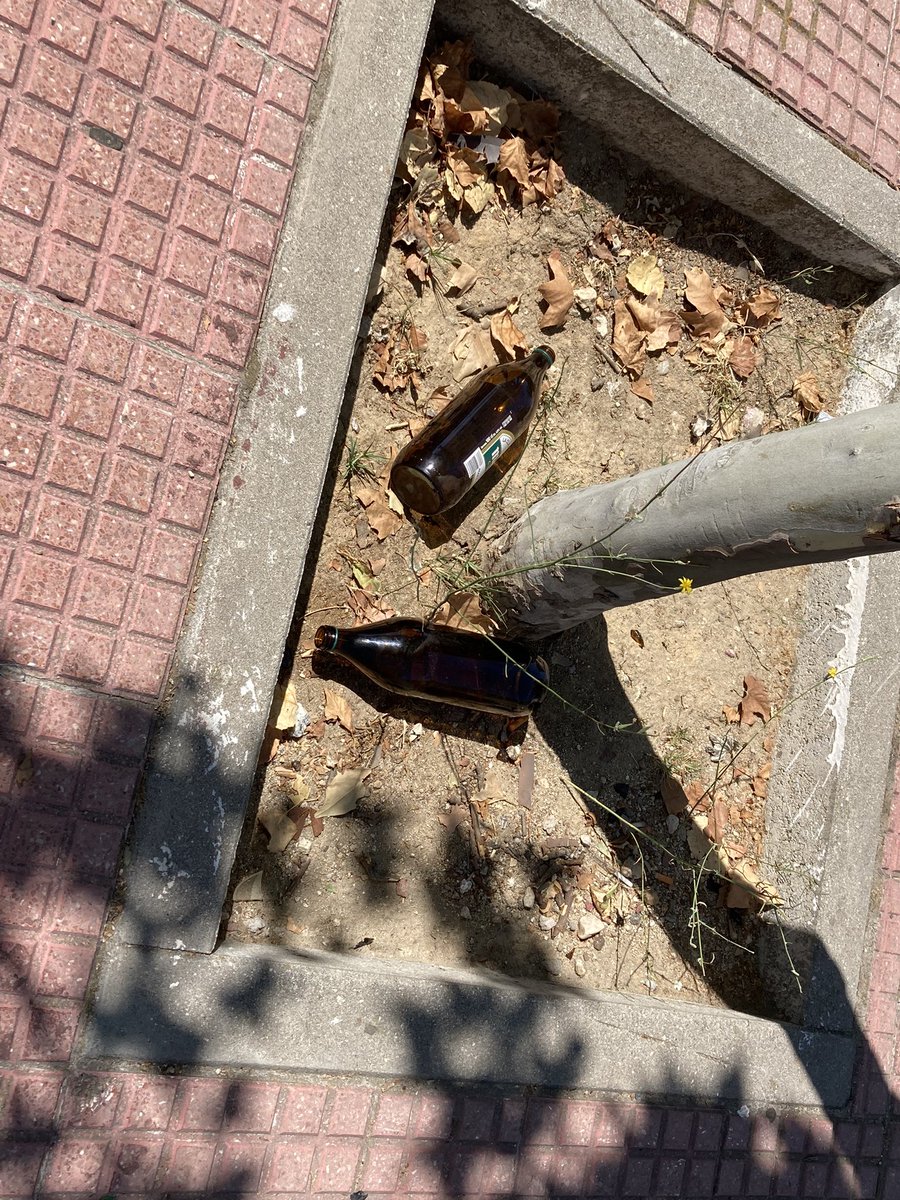 Ejiderpoc23's tweet photo. #LasRozas #18concejales
La ESPECTACULAR gestión del @pprozasdemadrid en @Ayto_Las_Rozas produce MARAVILLAS como esta:
Litrona en banco/alcorque con una SEMANA de evolución
Del LUNES 19 al DOMINGO 25
#DEGUARDIA https://t.co/55pzLKBvI8