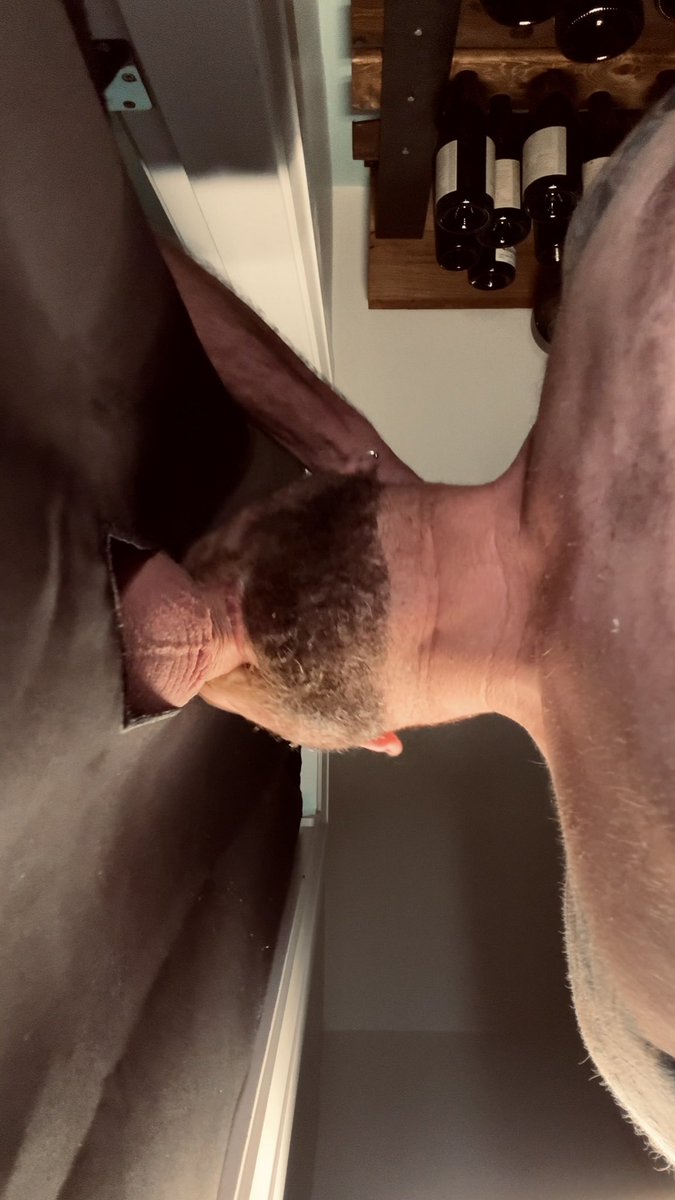 I love making new friends 😈🐷