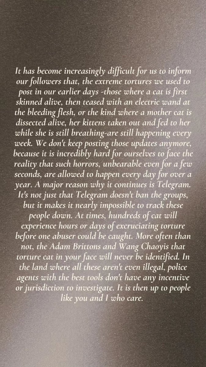 felineguardians's tweet photo. #telegram #PavelDurov #AnimalAbuse #FelineGuardians https://t.co/CpEejmMA6G