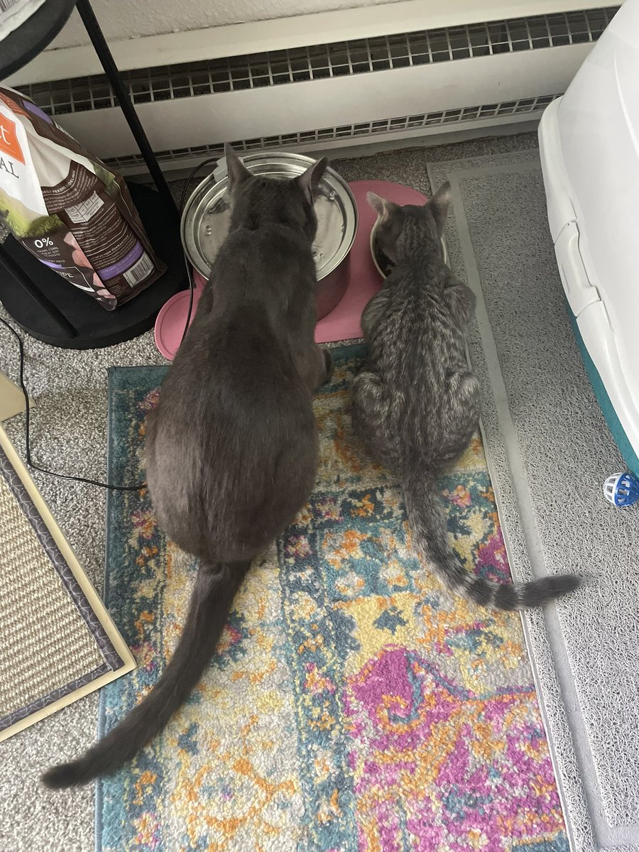 everyone shut up….. (ಥ﹏ಥ)