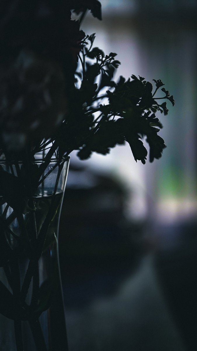 ๐ฐ๐ป๐ผ๐ฐ. tweet media