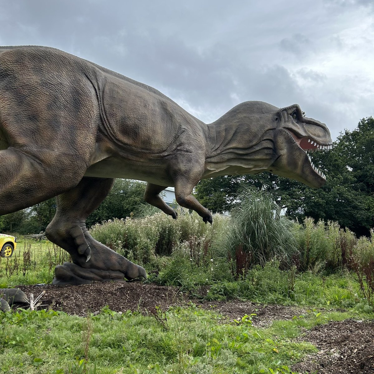 CourtInABook's tweet photo. A dino-tastic day at @HooFarmTelford with @JonnyDuddleDum 🦖🦕

Readalongs, drawalongs and dino-antics galore, Jonny shared #Gigantosaurus and #DoodleWithDuddle with lots of excited families 📚 https://t.co/OYul9YocWl