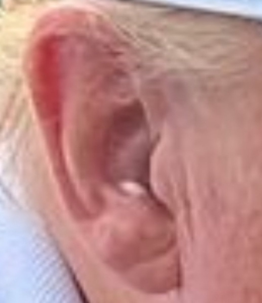 PatriotTakes 🇺🇸 tweet media