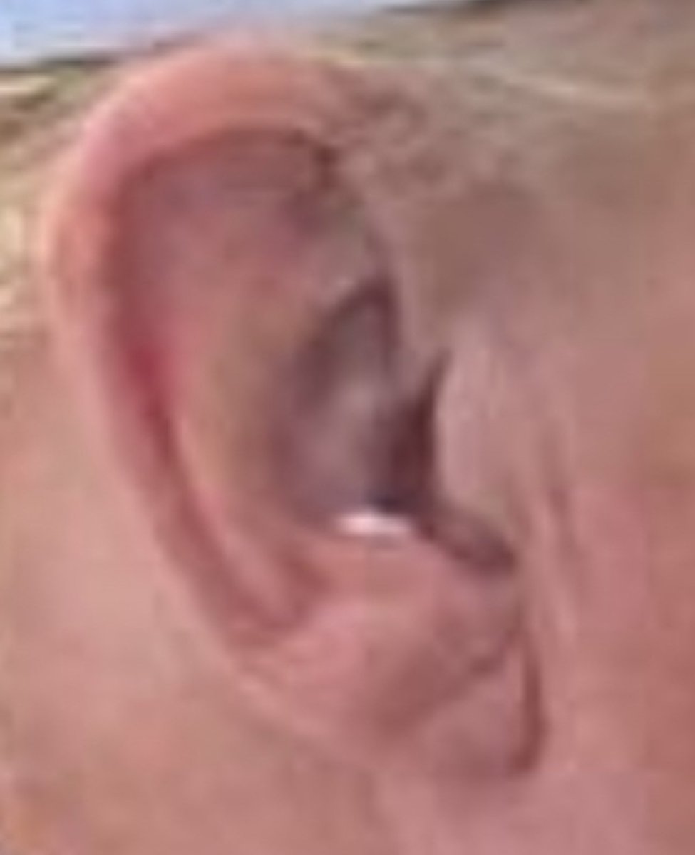 PatriotTakes 🇺🇸 tweet media