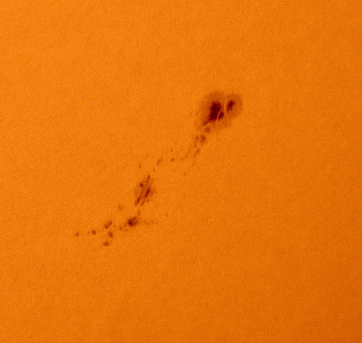 Boreal Edge Observatory tweet media