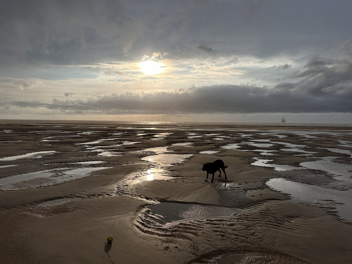 LucyBray9's tweet photo. 62 #NHS1000miles walked this week by the 🌊 
Life seems to have got in the way of #ActiveChallenge posts this week 😳
Love the posts on a Sunday 🥰 https://t.co/y1Ie0N6elv