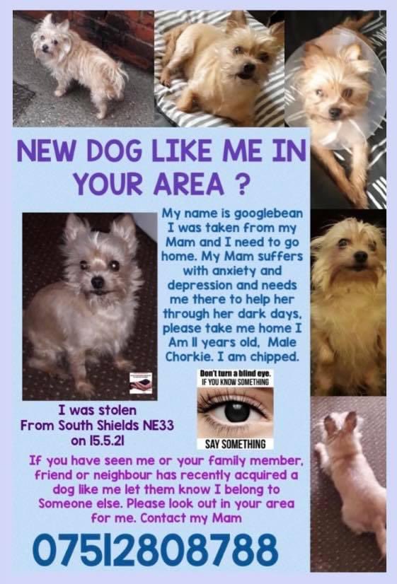 Rosie Doc tweet media