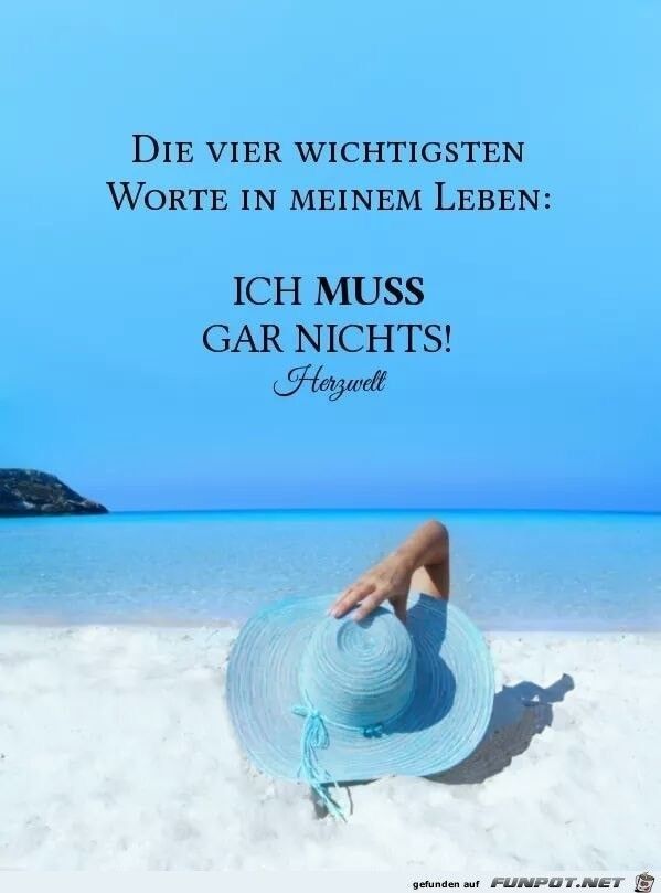 DCSAmethyst's tweet photo. https://t.co/pgCHXJp7ti
...außer Genusstage an Bord der DCS Flotte genießen 🐋💙⛴️
https://t.co/tnA5HzEQY0  Hier steckt Urlaub drin https://t.co/sUIS3hFNw3