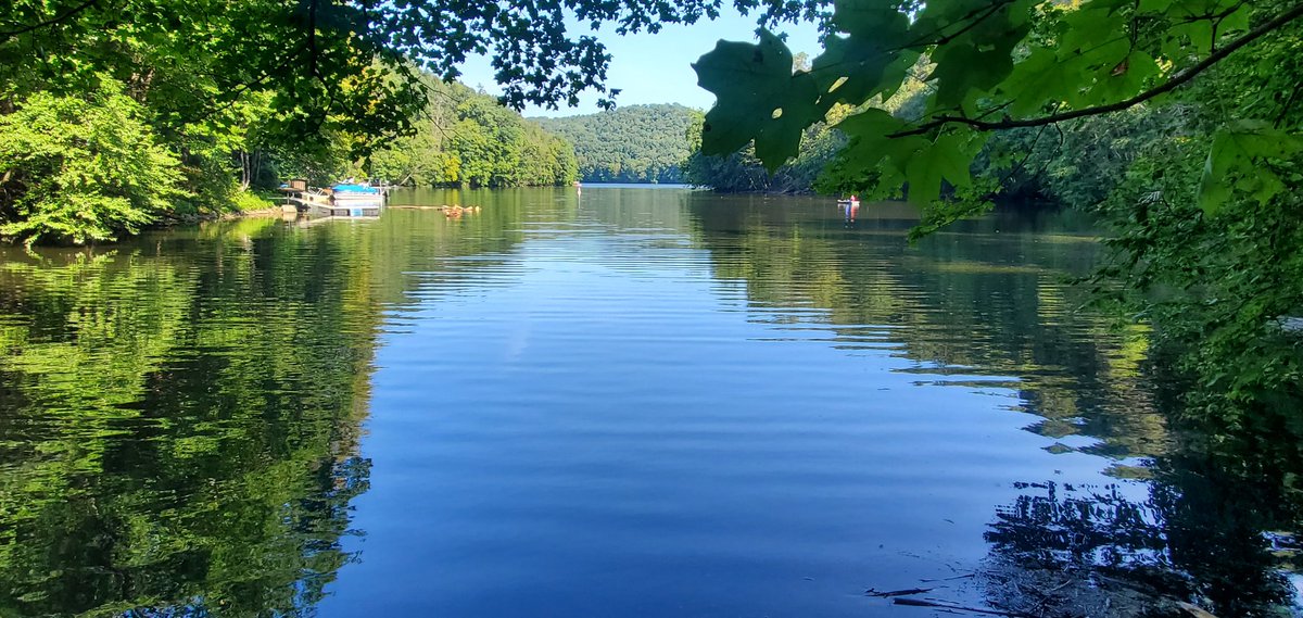 Novogasaurus's tweet photo. A gorgeous ☀️ morning in beautiful Paugussett State Forest. The hike🚶‍♂️around Lake Lillinonah provided lovely views, ample shade, and a workout 🥵! I even spotted Newtown's Shepaug Dam in all its glory. What a great day to visit one of our wonderful #CTStateParks https://t.co/aUSkQKbLIF