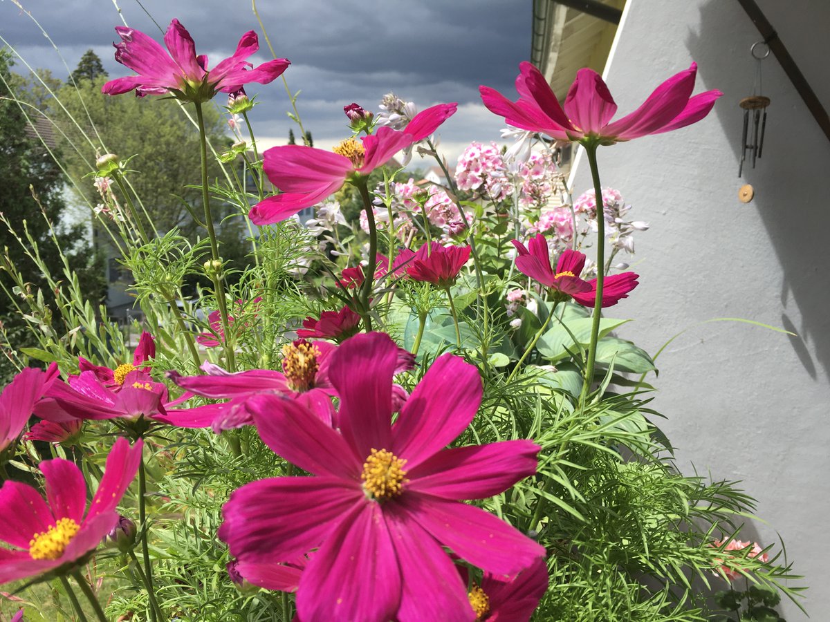 Gregory_Bond7's tweet photo. Balconies can be gardens 6. Balkone können Gärten sein 6. Paintings to inspire gardens here https://t.co/79x5TbTBX4 #gardening  #balconies #watercolorpainting https://t.co/i21uHGhUSx