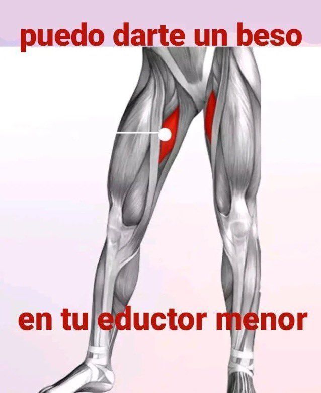 chincheto pirata somali (@wikipistacho) on Twitter photo 