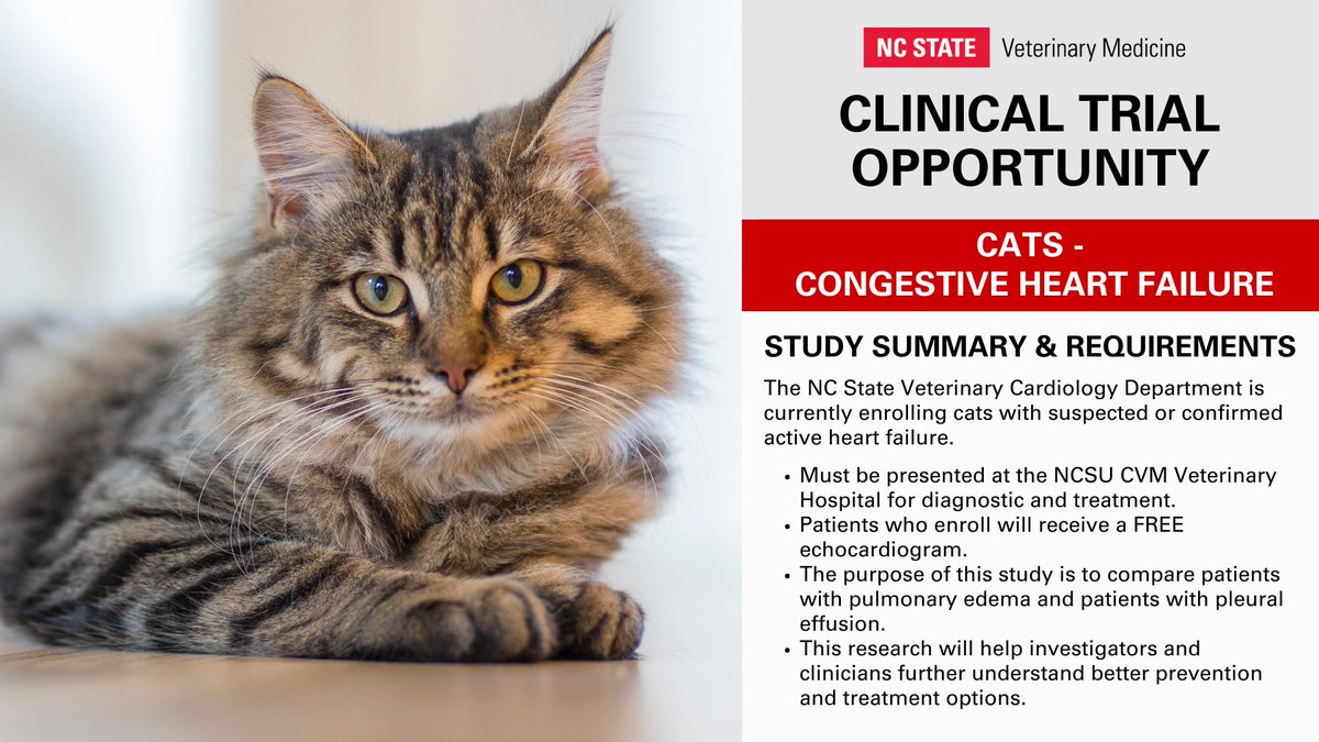 NCStateVetMed tweet picture