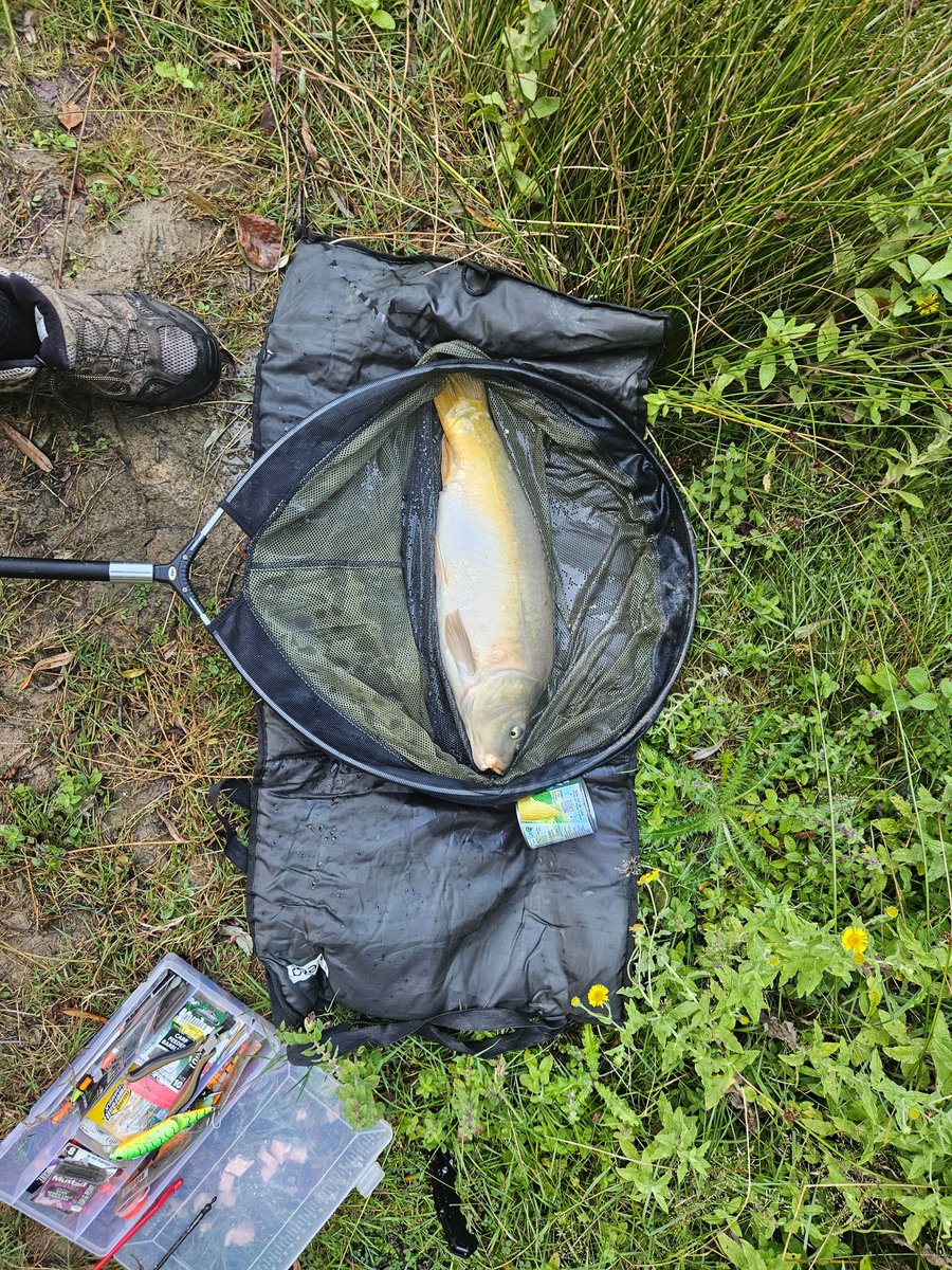 lazeedan40's tweet photo. #ScanSunday on the #WorldMobile app whilst fishing at Frant lakes in Kent 🇬🇧
Touching grass whilst scanning for various types of signal strength to help the WorldMobile sharing economy map unconnected or poorly served areas
Join the global leader board and be rewarded
$WMT https://t.co/ccJbLd0sIX