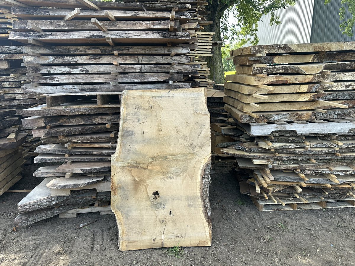 Stacking some monster white oak slabs <a href="/hazeloakfarms/">Hazeloakfarms</a>
