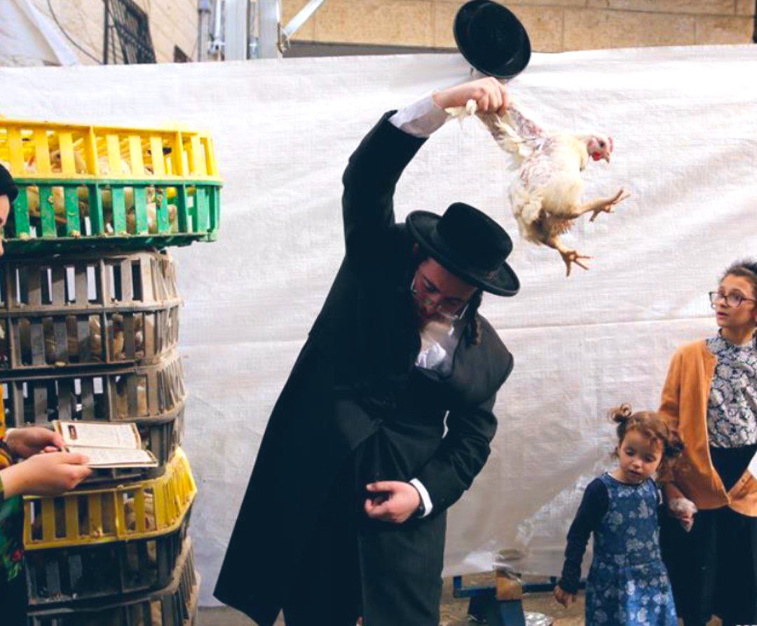 SuperSaad's tweet photo. Severe shortage of chickens 🐔 in Israel for the Kaparot rituals after hezbollah nukes the chicken coop.
#henocide https://t.co/WD3GODmKuz