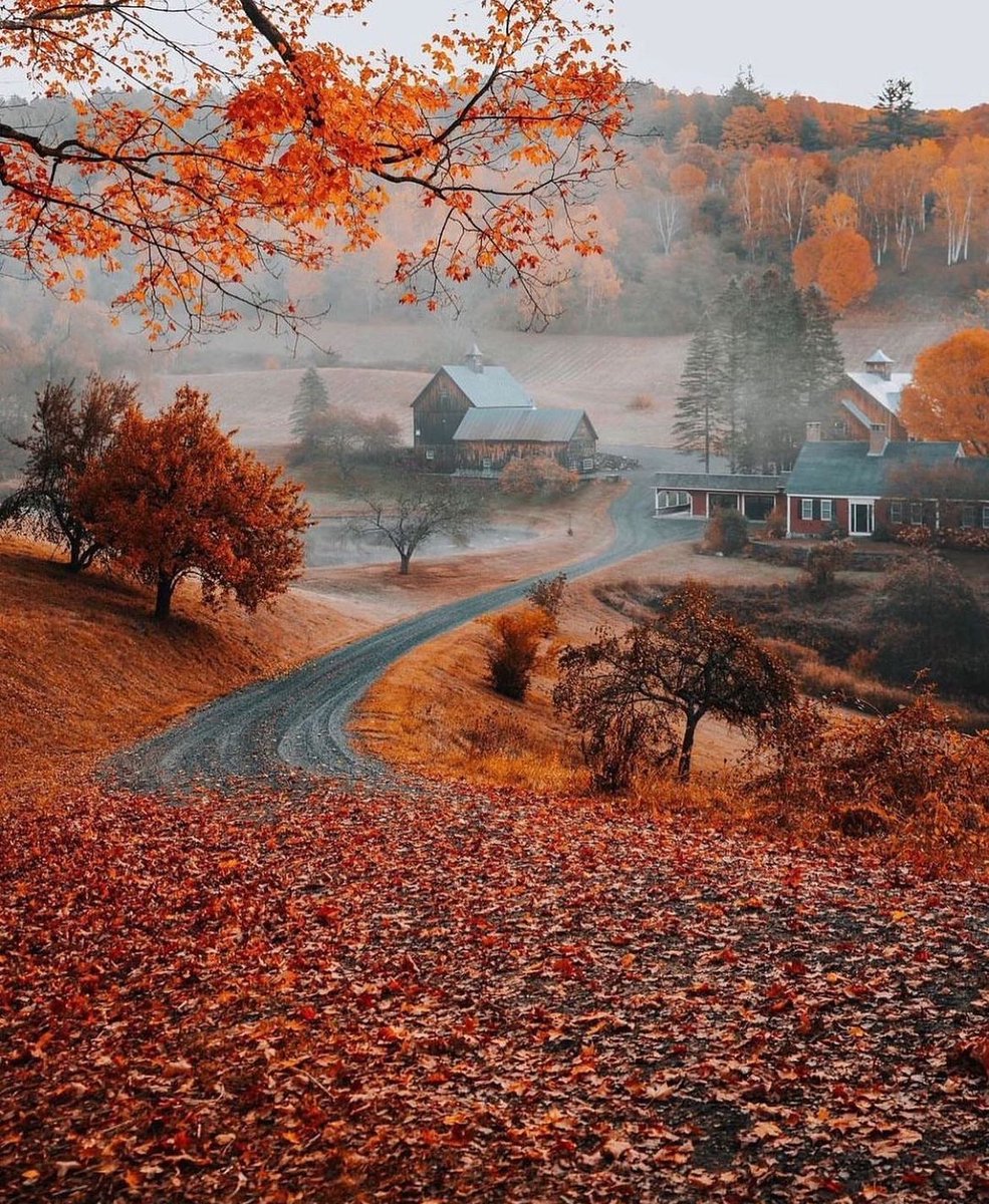 Fall in Vermont 🍂