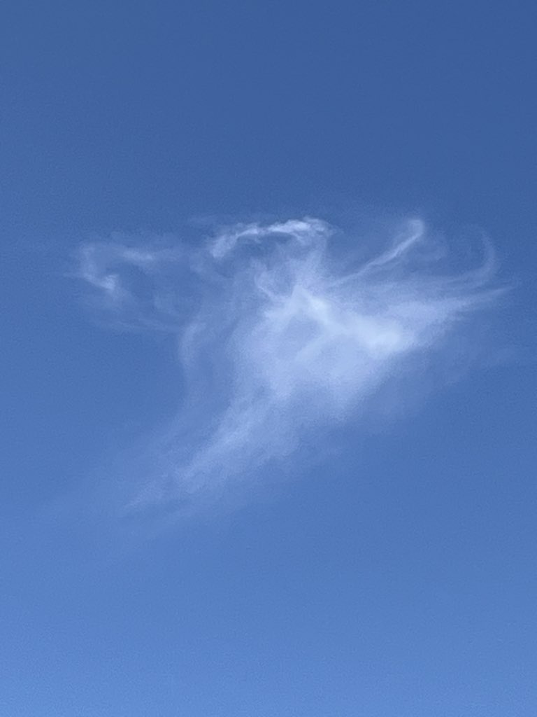 leprechaun3172's tweet photo. Taking a break from work and look up to see a single cloud in the sky. Waiting for NCC 1701A to pop through. https://t.co/JRfupgCPUK