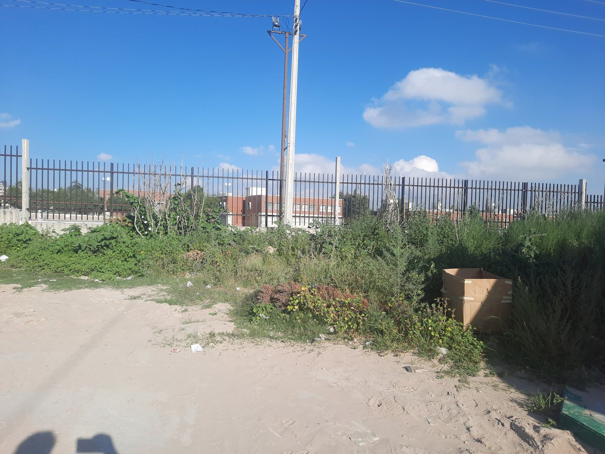 chiosoria's tweet photo. @Planoinforma Ayudaaaaaa, hay 6 cachorritos abandonados en la Col. Tierra Blanca, ya tienen 5 días, en #BienestarAnimal no me pueden ayudar, ni en 911, en Protección Civil no me contestan 😥 @EF_Galindo https://t.co/KJKdFr4Kle