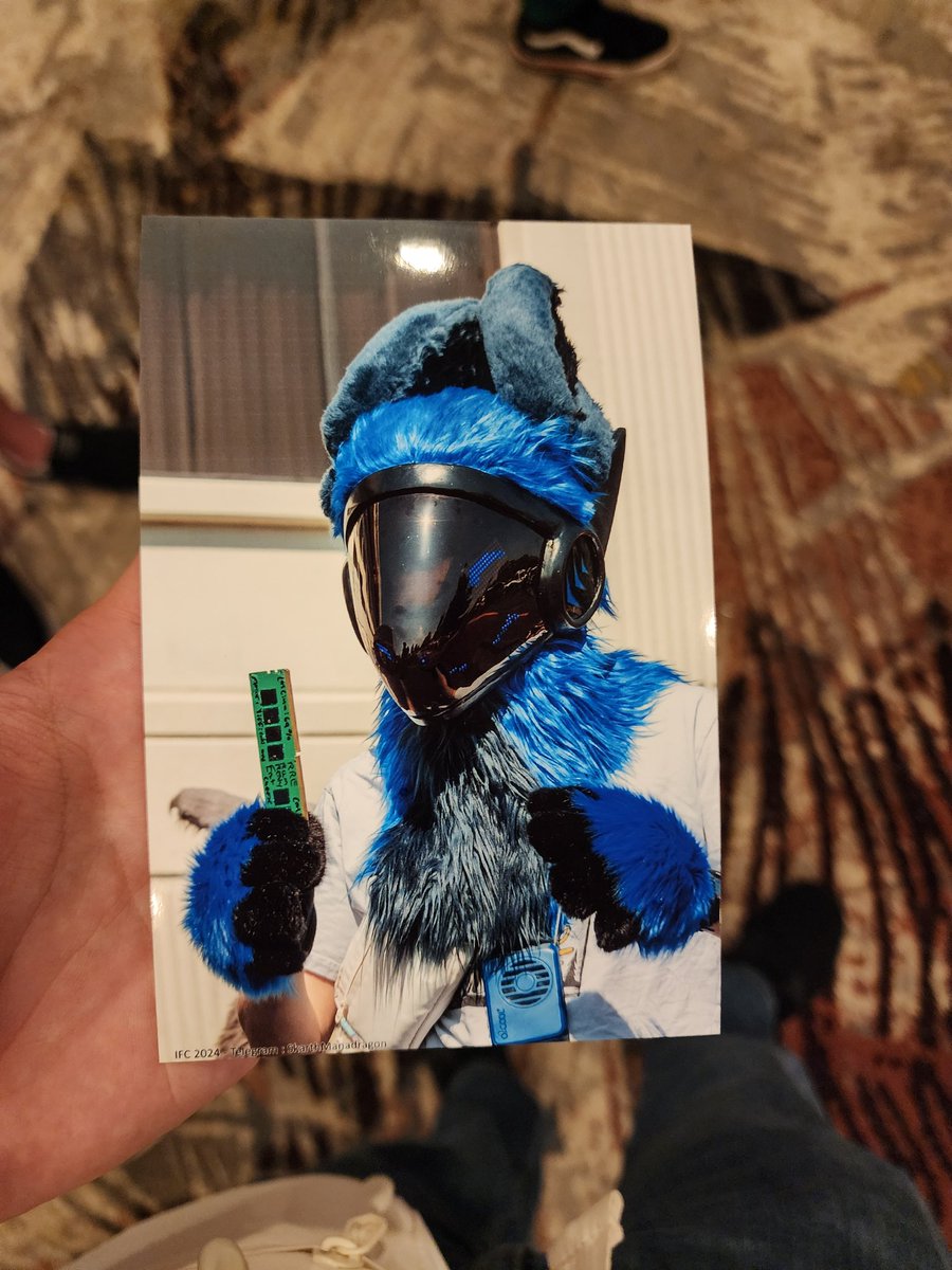 Cattown7's tweet photo. I don't have many pictures but IFC was so much fun
And I was able to avoid electronic issues! (barely) 
Printed photo is from SkarthManadragon
Bingo fursuit is @/ThatBingoHeeler
#indyfurcon2024 #IndyFurCon https://t.co/R5rNbkBLXu
