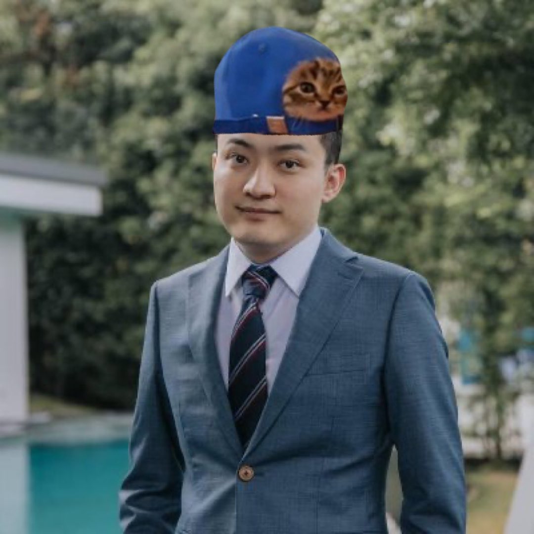 CatCapCTO's tweet photo. @justinsuntron This is the best meme no $cap 🫵🧢 https://t.co/WJ1eHA6BaG